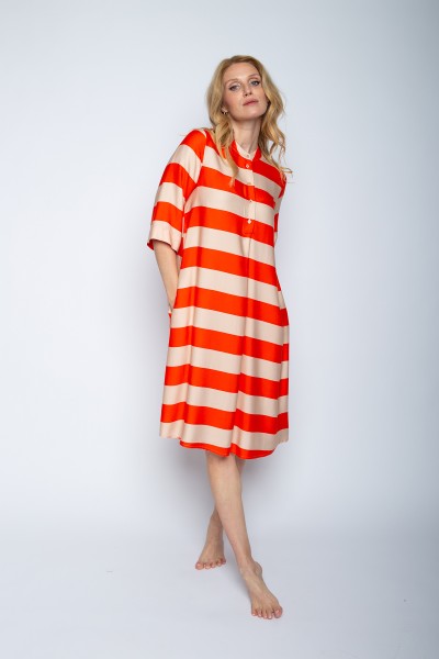 Emily van den Bergh gestreiftes Blusen-Kleid